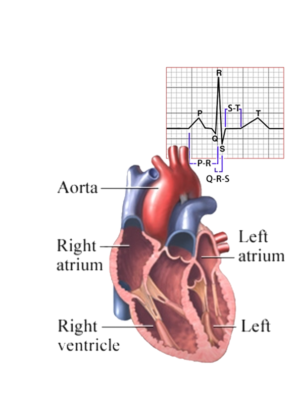 제품 사용 이미지
